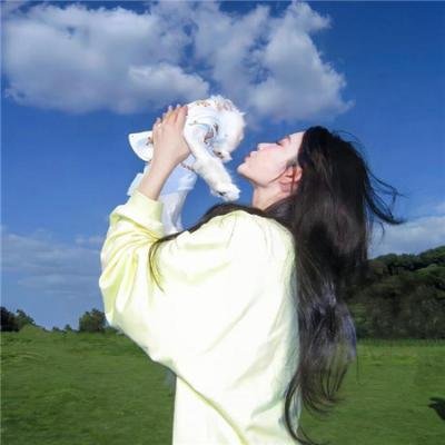 女总裁的特工男友